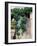 Grapevines Growing on House-Owen Franken-Framed Photographic Print