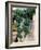 Grapevines Growing on House-Owen Franken-Framed Photographic Print