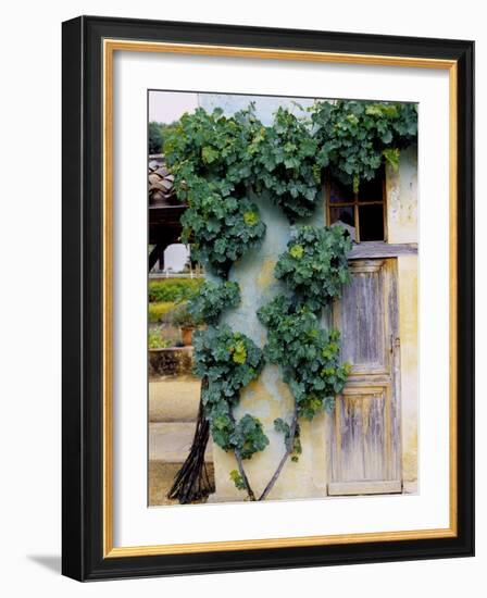 Grapevines Growing on House-Owen Franken-Framed Photographic Print
