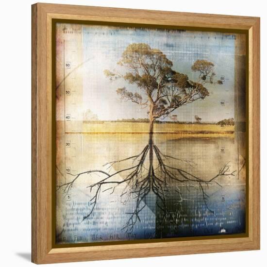 Graph of Tree and Roots-Colin Anderson-Framed Premier Image Canvas