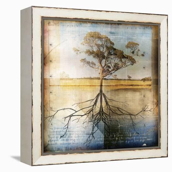 Graph of Tree and Roots-Colin Anderson-Framed Premier Image Canvas