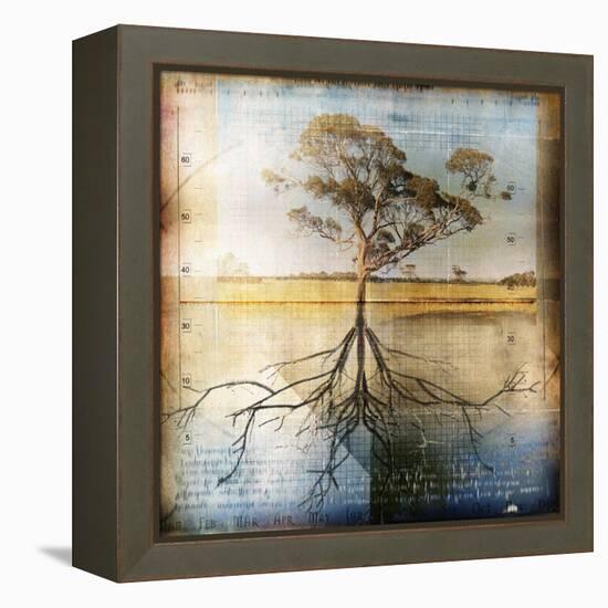Graph of Tree and Roots-Colin Anderson-Framed Premier Image Canvas