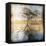 Graph of Tree and Roots-Colin Anderson-Framed Premier Image Canvas