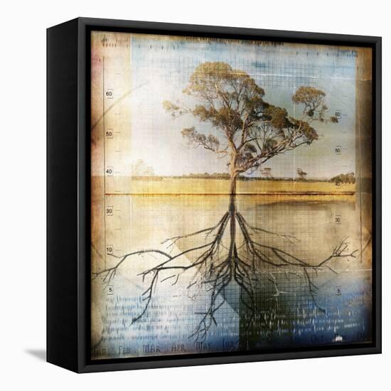 Graph of Tree and Roots-Colin Anderson-Framed Premier Image Canvas