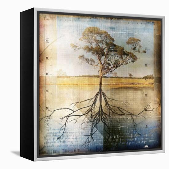 Graph of Tree and Roots-Colin Anderson-Framed Premier Image Canvas