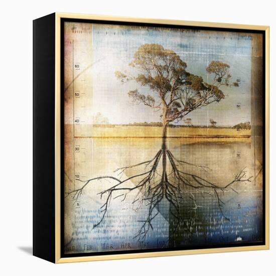 Graph of Tree and Roots-Colin Anderson-Framed Premier Image Canvas