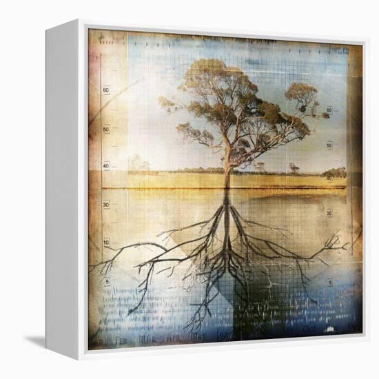 Graph of Tree and Roots-Colin Anderson-Framed Premier Image Canvas