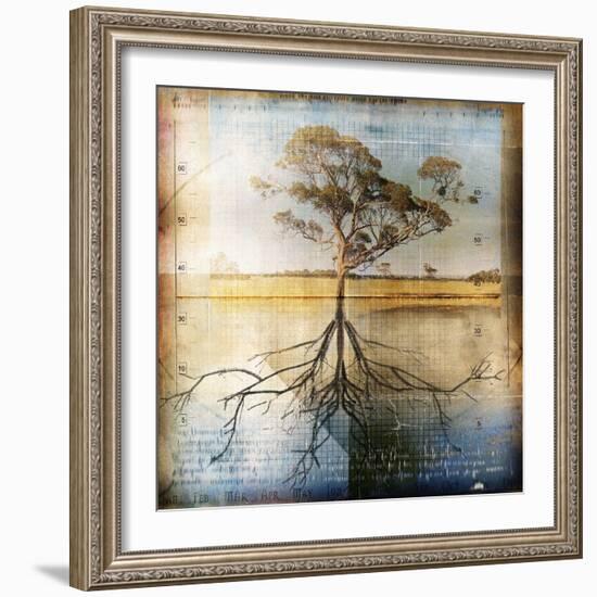 Graph of Tree and Roots-Colin Anderson-Framed Photographic Print