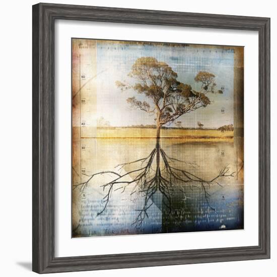 Graph of Tree and Roots-Colin Anderson-Framed Photographic Print