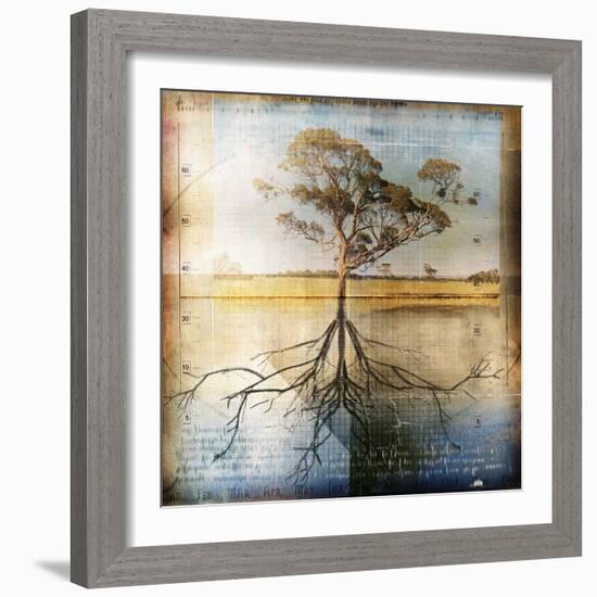 Graph of Tree and Roots-Colin Anderson-Framed Photographic Print