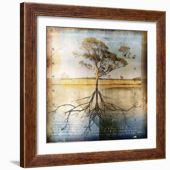 Graph of Tree and Roots-Colin Anderson-Framed Photographic Print