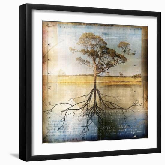 Graph of Tree and Roots-Colin Anderson-Framed Photographic Print