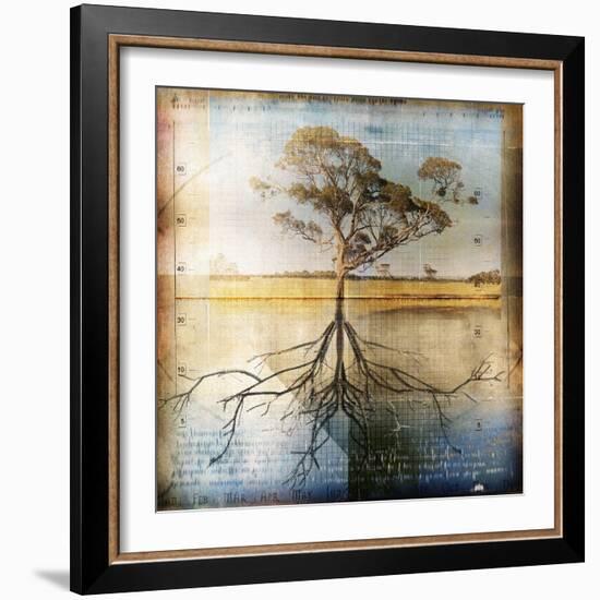 Graph of Tree and Roots-Colin Anderson-Framed Photographic Print