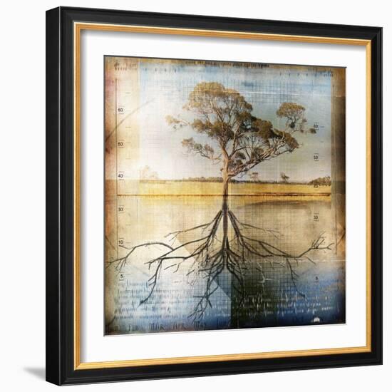 Graph of Tree and Roots-Colin Anderson-Framed Photographic Print