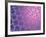 Graphene, Molecular Structure-Laguna Design-Framed Photographic Print