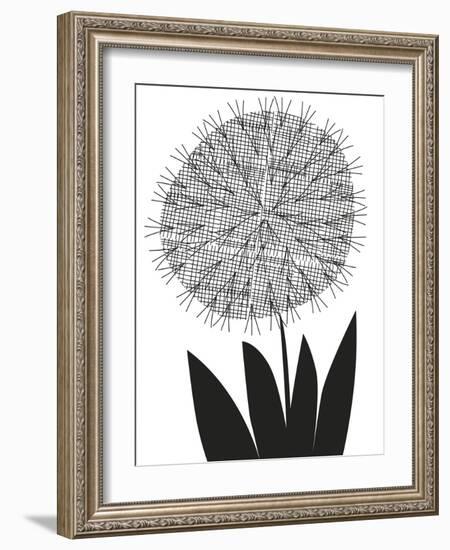 Graphic Allium-Sophie Ledesma-Framed Giclee Print