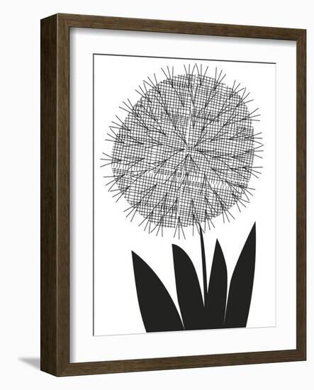 Graphic Allium-Sophie Ledesma-Framed Giclee Print