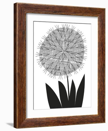 Graphic Allium-Sophie Ledesma-Framed Giclee Print