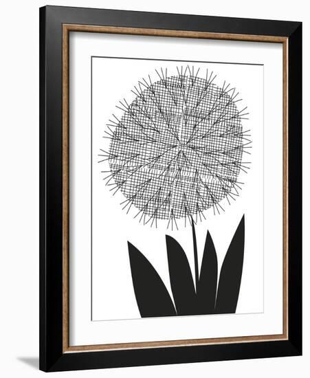 Graphic Allium-Sophie Ledesma-Framed Giclee Print