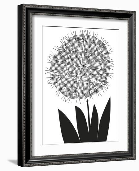 Graphic Allium-Sophie Ledesma-Framed Giclee Print