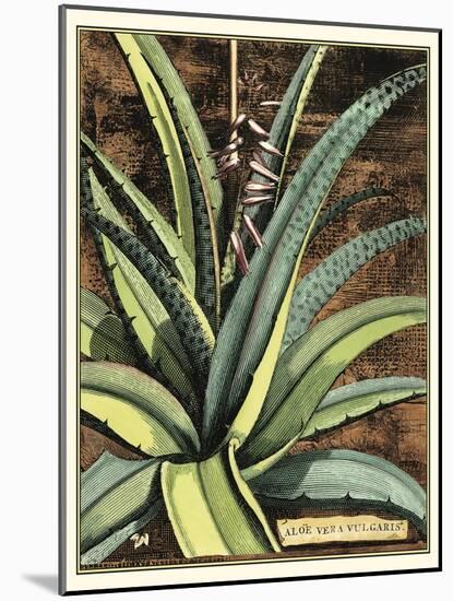 Graphic Aloe III-Vision Studio-Mounted Art Print