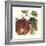 Graphic Apple-Vision Studio-Framed Art Print