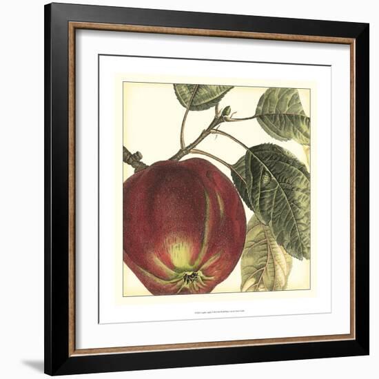 Graphic Apple-Vision Studio-Framed Art Print