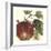 Graphic Apple-Vision Studio-Framed Art Print