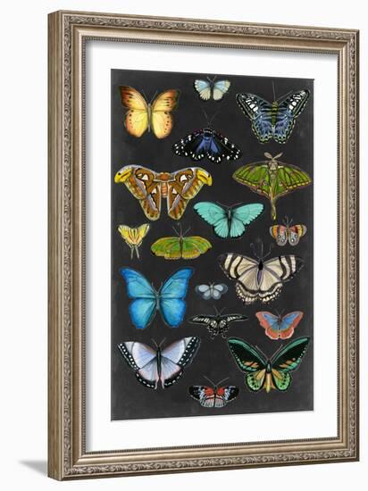 Graphic Butterfly Taxonomy I-Naomi McCavitt-Framed Art Print