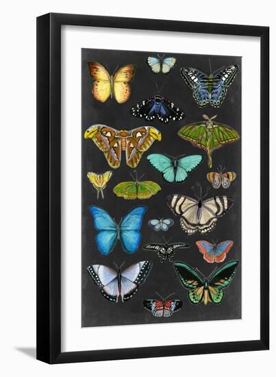 Graphic Butterfly Taxonomy I-Naomi McCavitt-Framed Art Print