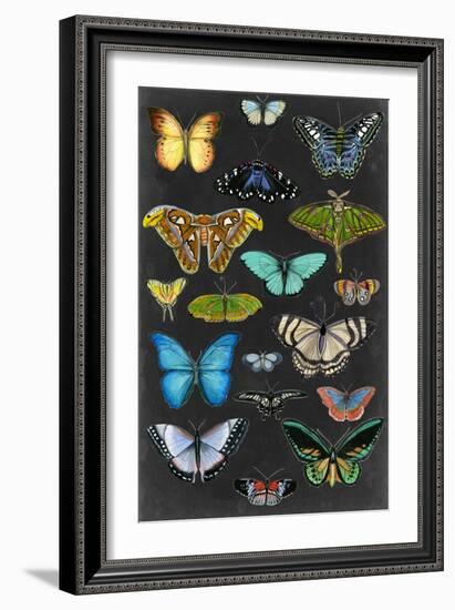 Graphic Butterfly Taxonomy I-Naomi McCavitt-Framed Art Print