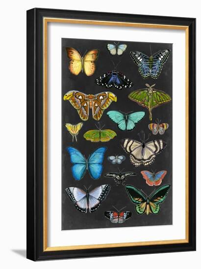 Graphic Butterfly Taxonomy I-Naomi McCavitt-Framed Art Print