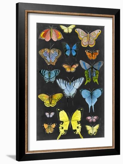 Graphic Butterfly Taxonomy II-Naomi McCavitt-Framed Art Print