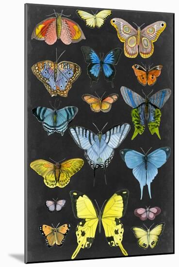 Graphic Butterfly Taxonomy II-Naomi McCavitt-Mounted Art Print