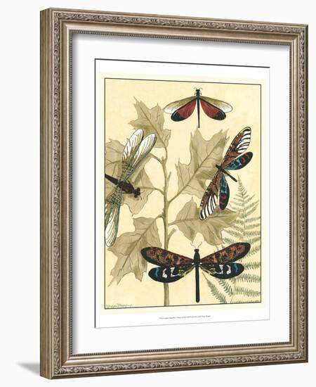 Graphic Dragonflies in Nature I-Megan Meagher-Framed Art Print