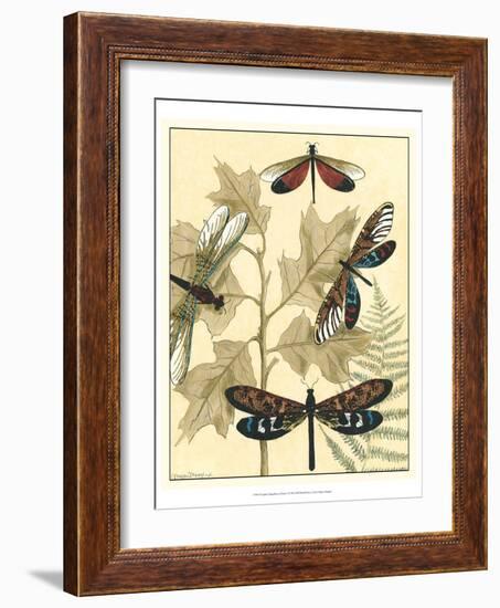 Graphic Dragonflies in Nature I-Megan Meagher-Framed Art Print