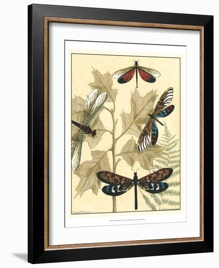 Graphic Dragonflies in Nature I-Megan Meagher-Framed Art Print