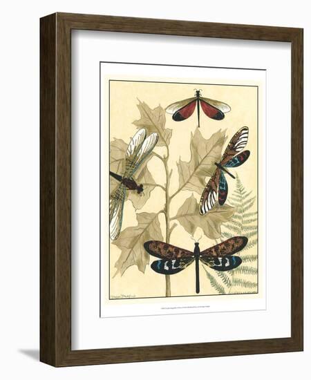 Graphic Dragonflies in Nature I-Megan Meagher-Framed Art Print