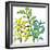 Graphic Floral One-Jan Weiss-Framed Art Print