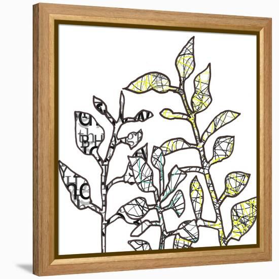 Graphic Floral Two-Jan Weiss-Framed Stretched Canvas