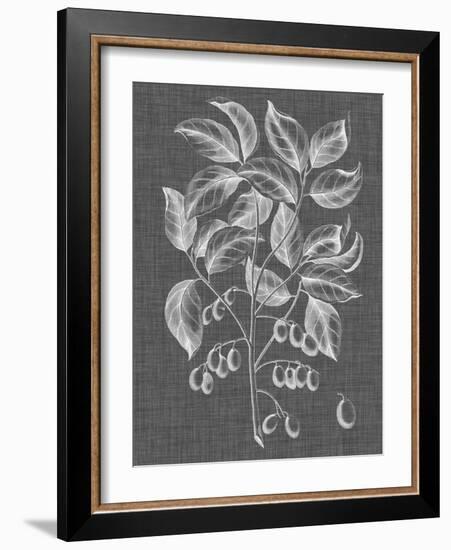 Graphic Foliage V-Vision Studio-Framed Art Print