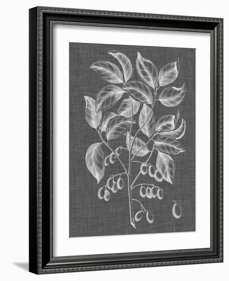 Graphic Foliage V-Vision Studio-Framed Art Print