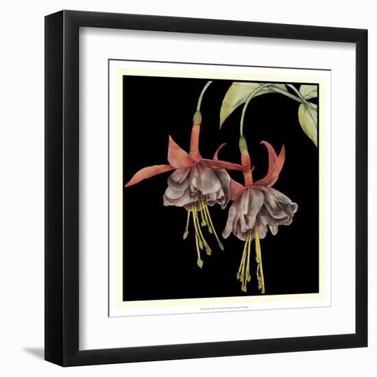 Graphic Fuchsia I-Jennifer Goldberger-Framed Art Print