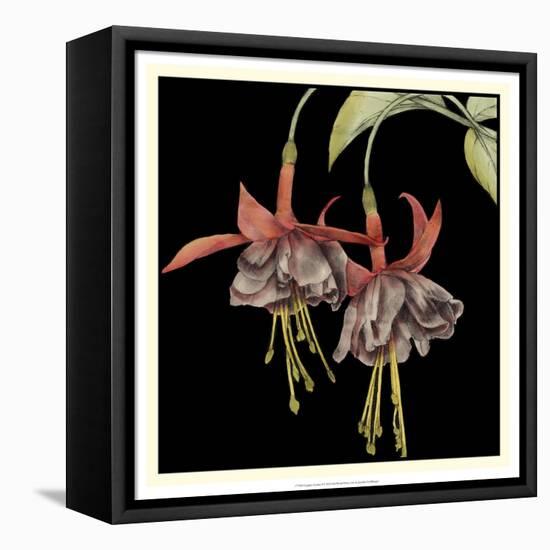 Graphic Fuchsia I-Jennifer Goldberger-Framed Stretched Canvas