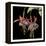 Graphic Fuchsia I-Jennifer Goldberger-Framed Stretched Canvas