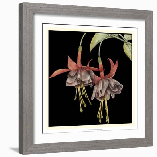 Graphic Fuchsia I-Jennifer Goldberger-Framed Art Print