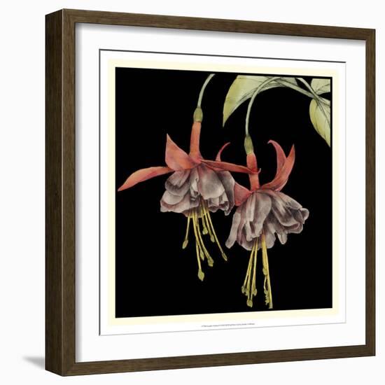 Graphic Fuchsia I-Jennifer Goldberger-Framed Art Print