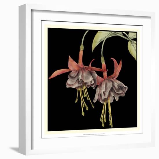 Graphic Fuchsia I-Jennifer Goldberger-Framed Art Print