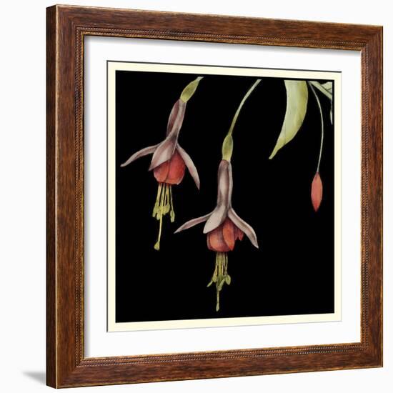 Graphic Fuchsia III-Jennifer Goldberger-Framed Art Print