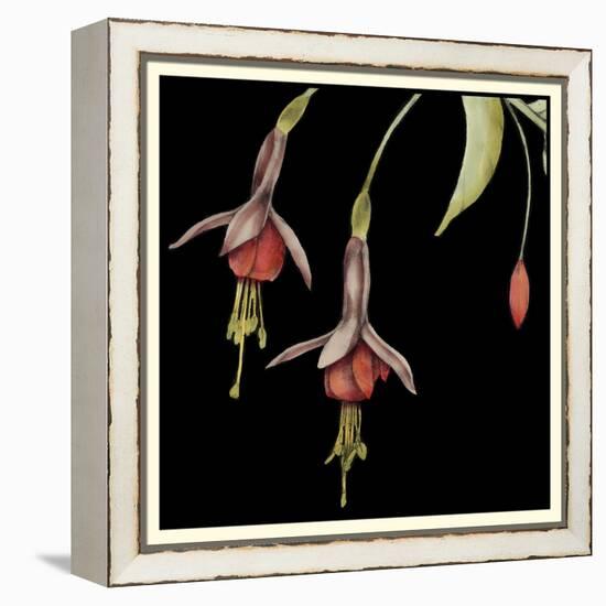 Graphic Fuchsia III-Jennifer Goldberger-Framed Stretched Canvas